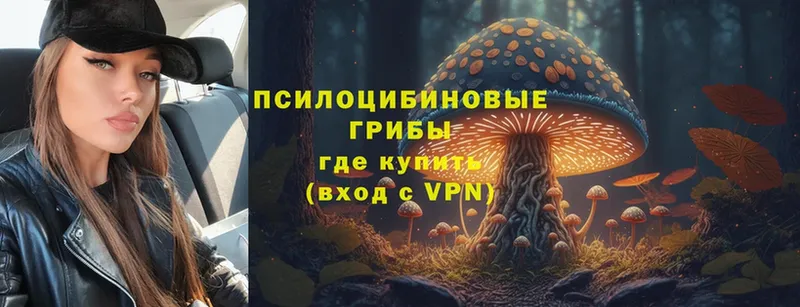 Галлюциногенные грибы ЛСД  магазин  наркотиков  Осташков 